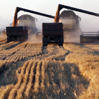 Россия: Путин пообещал рекордный урожай зерна в 2022 году — 150 млн. тонн