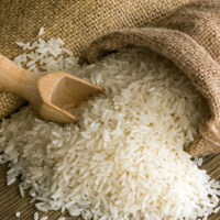В Казахстане площади сева риса сократились на 8,7 тыс тонн
