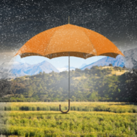 Страховщики оценили объем аграрных чрезвычайных ситуаций в России