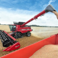 Китай может стать ключевым рынком сбыта для российских пшеницы и подсолнечного масла