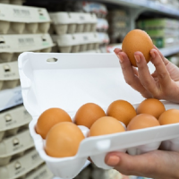 Не простое, а золотое: цены на яйца в Казахстане выросли сразу на 6,3% за месяц и почти на 15% за год