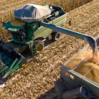 Помогают или мешают зерновому рынку России иностранные трейдеры?