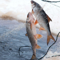 Какие субсидии предусмотрены для рыбоводных хозяйств в Казахстане?