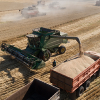 Урожай 2022: хлебоуборочная кампания идет в восьми районах Жамбылской области