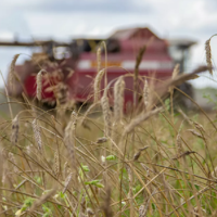 Как санкции против России повлияют на сельскохозяйственную отрасль страны?
