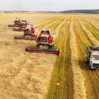 Урожай зерна в России в 2022 году может увеличиться до 125-130 млн. тонн 