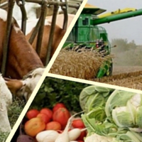 Минсельхоз: за три месяца объем валовой продукции сельского хозяйства в Казахстане увеличился на 1,8%