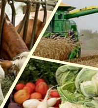 Минсельхоз: за три месяца объем валовой продукции сельского хозяйства в Казахстане увеличился на 1,8%