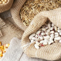 В России рынок ГСМ и семян намерены регулировать по принципу минеральных удобрений