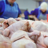 С 14 апреля возобновлена обоюдная торговля птицеводческой продукцией из некоторых регионов России и Казахстана