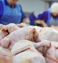 С 14 апреля возобновлена обоюдная торговля птицеводческой продукцией из некоторых регионов России и Казахстана