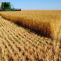 В 2022 году на посевные и уборочные работы выделено в два раза больше средств — более 220 млрд. тенге