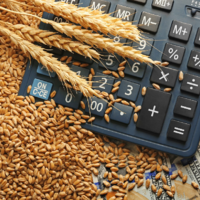 В Казахстане в 20 раз сократятся сроки возврата НДС для экспортеров зерна