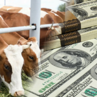 Минсельхоз Казахстана намерен поменять субсидирование ставок по кредитам