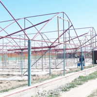 В Жамбылской области за два года хотят построить 420 теплиц 