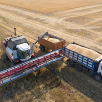 АПК России в 2023 году сохранит структуру площадей под агрокультурами, несмотря на недосев озимых