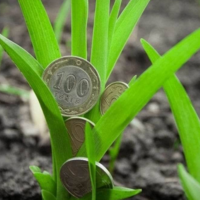 В Казахстане внедрение нового механизма субсидирования АПК отложили до следующего года