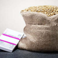 В Казахстане ставки субсидирования по кредитам для АПК привяжут к базовой ставке Нацбанка 