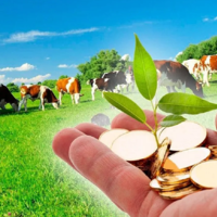 Какие встречные обязательства планируются вводить для казахстанских фермеров, которые будут получать субсидии?