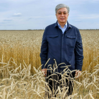 День хлеба в Казахстане: Токаев поздравил фермеров с завершением массовой уборки урожая-2022 