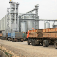Россия: Минсельхоз предложил повысить цены на зерно и сахар для проведения интервенций