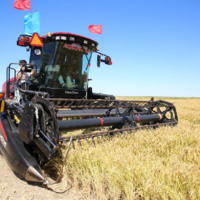 В этом году урожай риса в Казахстане ожидается на уровне 421,9 тыс. тонн