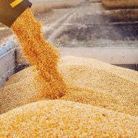 Российские аграрии к 6 октября собрали 143,2 млн. тонн зерна