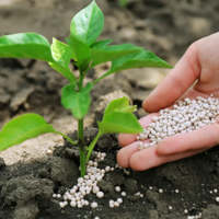 Мировые цены на удобрения с начала года выросли на 30% и достигли рекордных значений