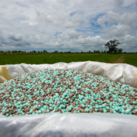 Со следующего года в России не будут повышаться цены на удобрения