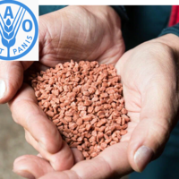 ФАО предупредила о возможном дефиците удобрений в 2023 году