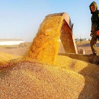 Урожай-2022: аграрии Северо-Казахстанской области намолотили 4,6 млн. тонн зерна