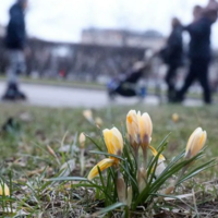 Весна уже скоро: в марте и апреле температура воздуха в Казахстане ожидается выше нормы