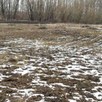 В зерносеющих регионах Казахстана зафиксирован дефицит влаги в почве перед уходом в зиму