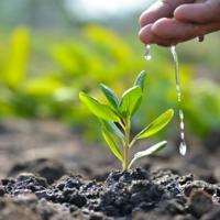 Закрытие влаги сработало: урожайность будет увеличена на 0,7 центнеров с гектара