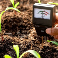 В июле в зерносеющих регионах Казахстана в основном накопилось недостаточно влаги в почве