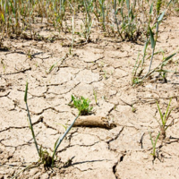 Казахстан назван самым неэффективным по водопользованию в орошаемом земледелии в Центральной Азии