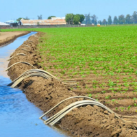 Из забираемого для сельского хозяйства объема воды до полей юга Казахстана доходит лишь 60%