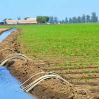 Орошаемые площади юга Казахстана охвачены водосберегающими технологиями лишь на 5,4%