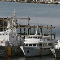 Россия вернулась в зерновую сделку с ООН, Турцией и Украиной