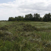 В Казахстане в государственную собственность возвращено более 600 тыс. га сельхозземель