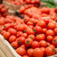 Россия сняла ограничения на ввоз томатов и перцев из Казахстана и других стран