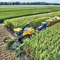 Минсельхоз Казахстана заинтересовался опытом Израиля по выращиванию кормовых культур