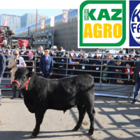 Более 300 агропромышленных компаний из 20 стран мира примут участие в крупнейшей выставке KazAgro/KazFarm