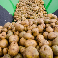 Минсельхоз Казахстана: определен размер квот на экспорт картофеля на февраль – апрель текущего года