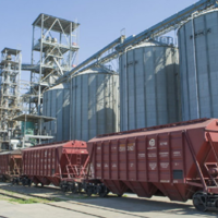 В Казахстане наблюдается резкий рост экспортных отгрузок зерна — 110 тыс. тонн пшеницы отправлено за два дня