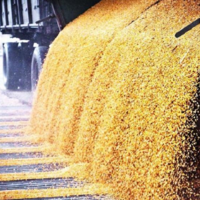 130 тысяч тонн зерна вывезено из Казахстана в рамках квоты