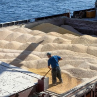 В Турции договорились о создании в Стамбуле координационного центра по экспорту зерна