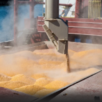 Главы МИД ЕС обсудят 20 июня возможности вывоза зерна из Украины