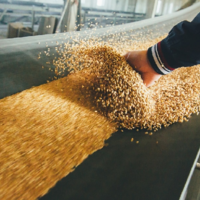 ООН пообещала снять ограничения на вывоз российского зерна до 18 ноября