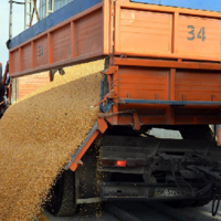 Россия отметила рост легального ввоза зерна в Казахстан на 45%